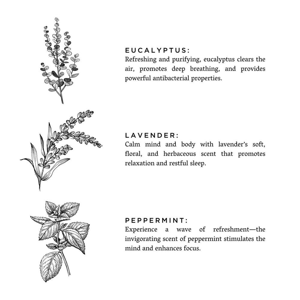 
                      
                        Slow North Of The Sea | Eucalyptus + Lavender + Peppermint | Frosted Candle, 8 oz - lily & onyx
                      
                    