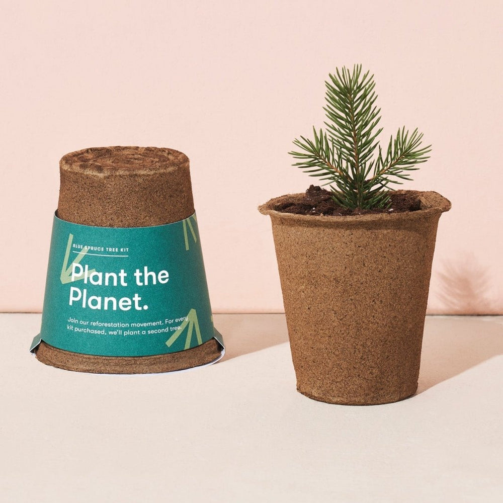 
                      
                        Modern Sprout One - For - One Tree Kits - lily & onyx
                      
                    