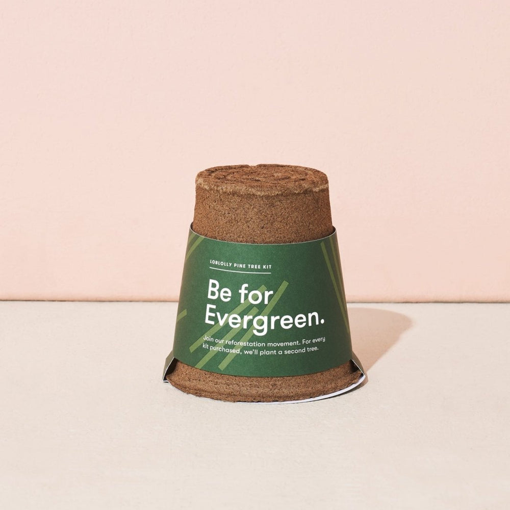 
                      
                        Modern Sprout One - For - One Tree Kits - lily & onyx
                      
                    