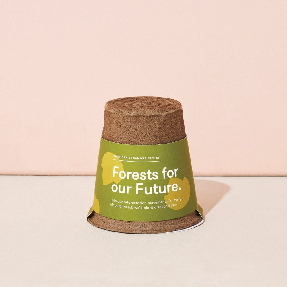 
                      
                        Modern Sprout One - For - One Tree Kits - lily & onyx
                      
                    