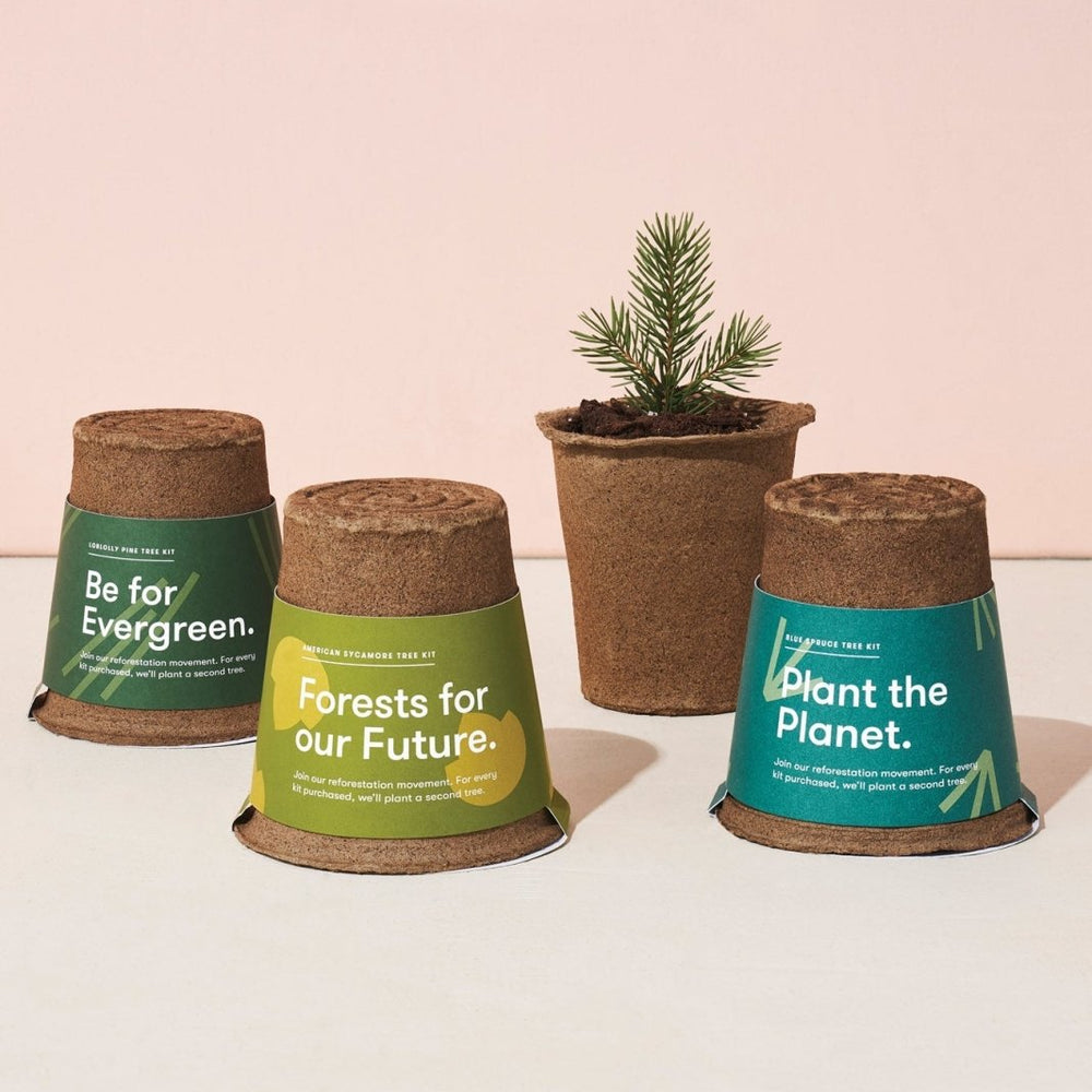 
                      
                        Modern Sprout One - For - One Tree Kits - lily & onyx
                      
                    