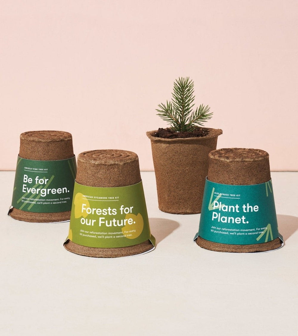 Modern Sprout One - For - One Tree Kits - lily & onyx