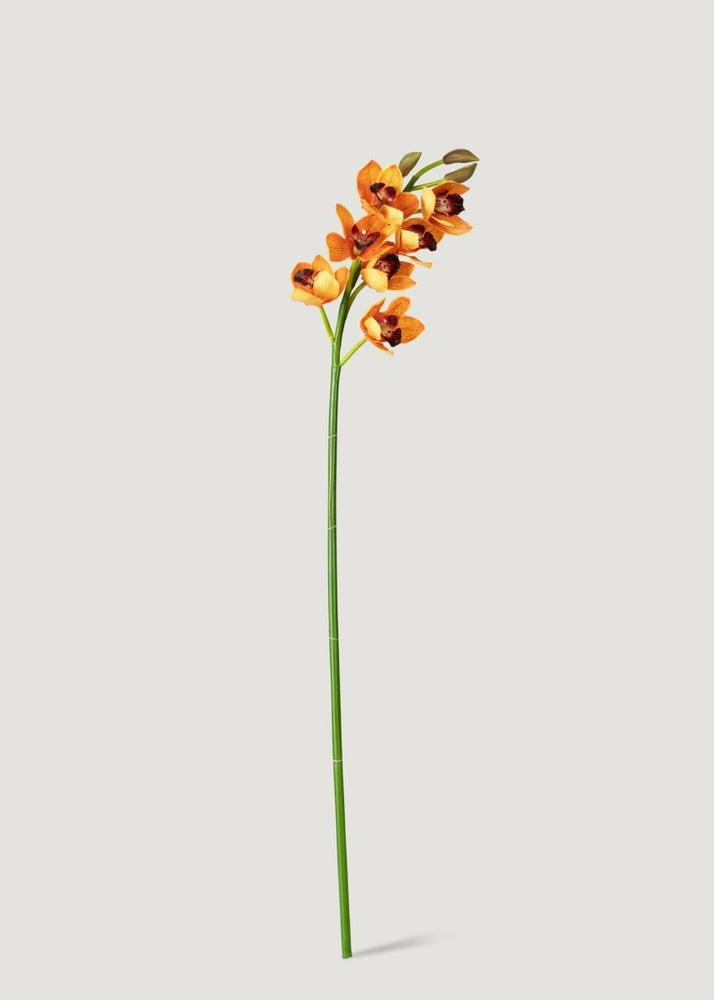 
                      
                        Afloral Orange Artificial Deluxe Cymbidium Orchid - 47" - lily & onyx
                      
                    