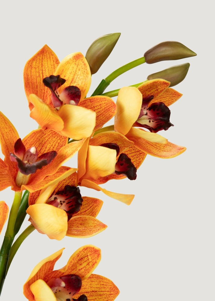 
                      
                        Afloral Orange Artificial Deluxe Cymbidium Orchid - 47" - lily & onyx
                      
                    
