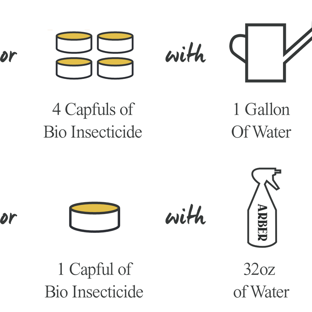 
                      
                        Arber Organic Bio Insecticide
                      
                    