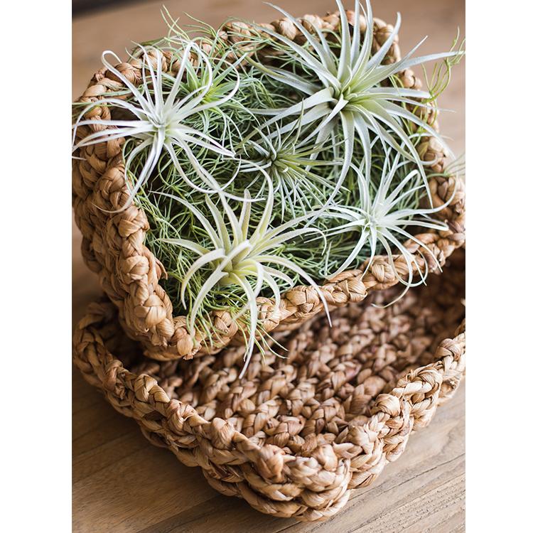 
                      
                        Organic Straw Storage Basket with Lid
                      
                    