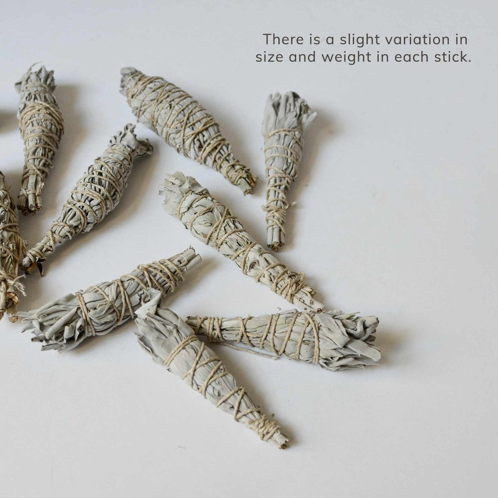 
                      
                        CEDAR AND MYRRH Organic White Sage Smudge Stick - Mini - lily & onyx
                      
                    