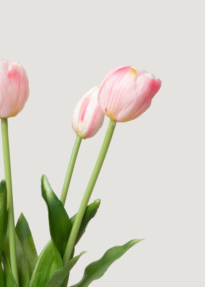 
                      
                        Afloral Outdoor UV Treated Small Pink Real Touch Tulip, Bundle of 5 - 15" - lily & onyx
                      
                    