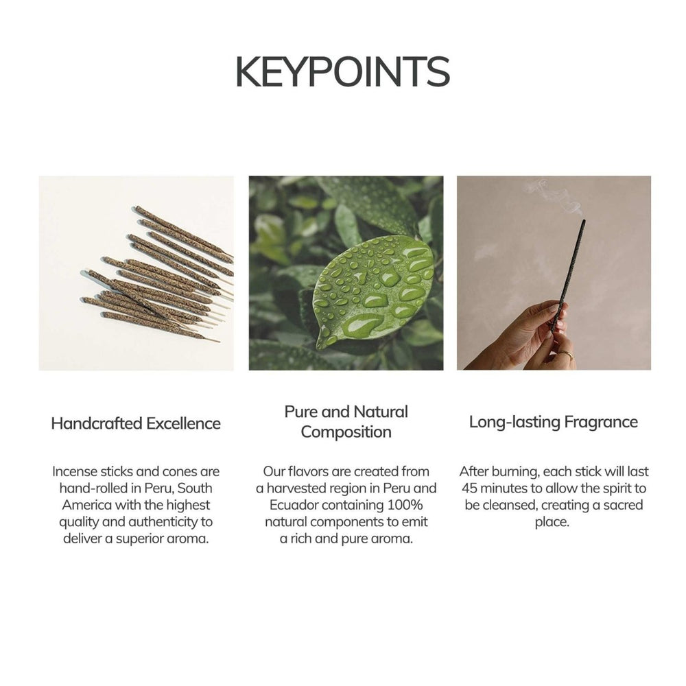 
                      
                        CEDAR AND MYRRH Palo Santo Hand - Rolled Incense Sticks – 7 Sticks - lily & onyx
                      
                    