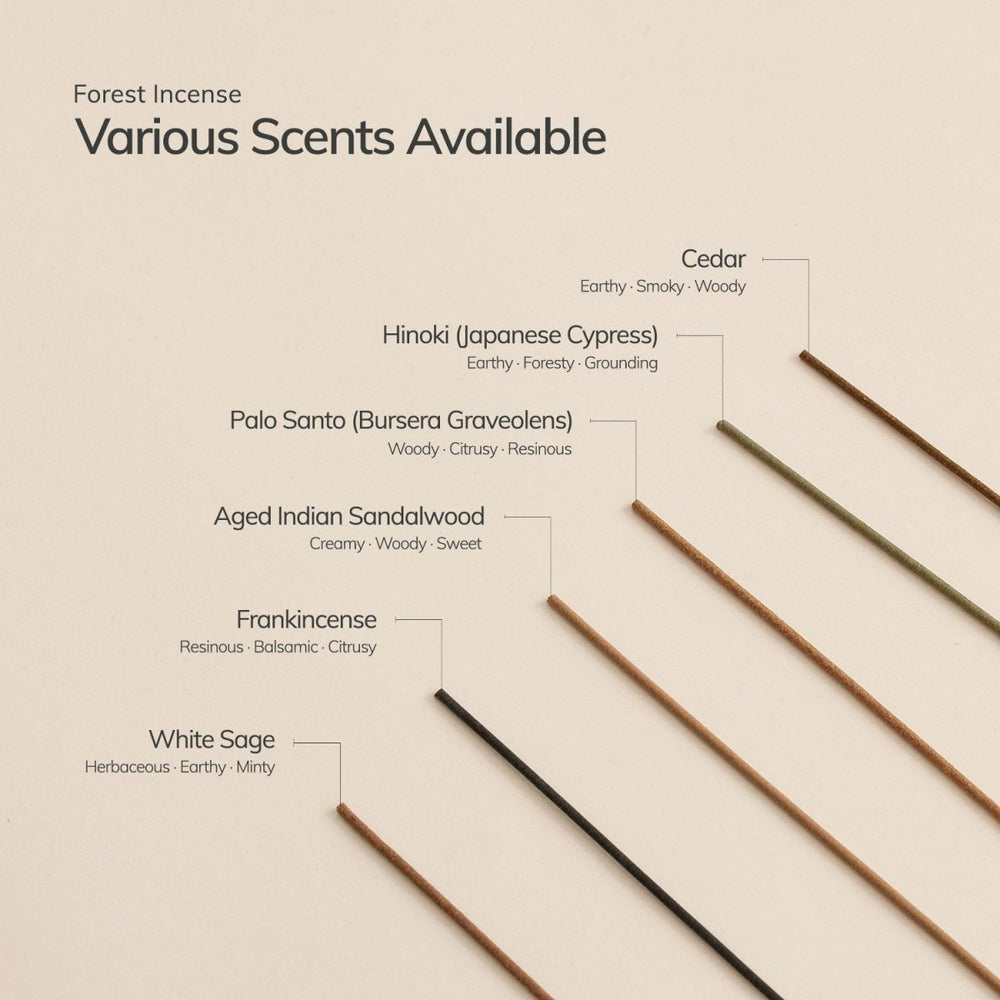 
                      
                        CEDAR AND MYRRH Palo Santo Incense Stick Set with Ceramic Flower Holder – 30 Sticks - lily & onyx
                      
                    
