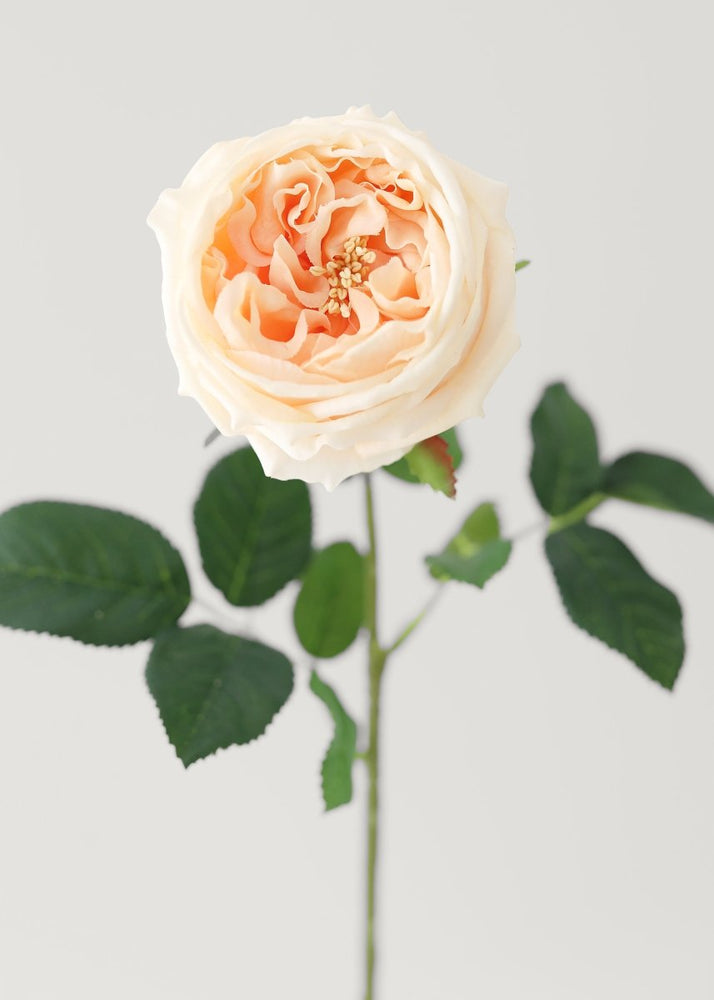 Afloral Peach Real Touch Rose Artificial Flower - 24" - lily & onyx