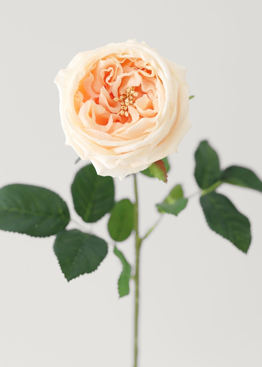 Afloral Peach Real Touch Rose Artificial Flower - 24" - lily & onyx