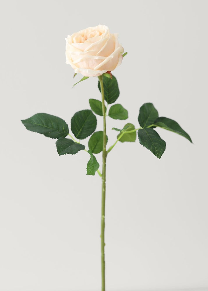 Afloral Peach Real Touch Rose Artificial Flower - 24" - lily & onyx