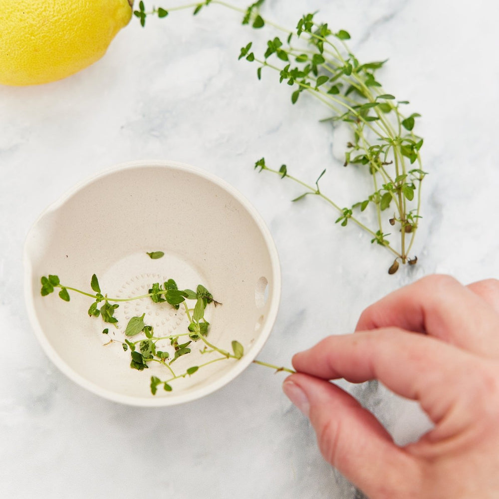 
                      
                        Modern Sprout Peel, Grate & Prep Dish - lily & onyx
                      
                    