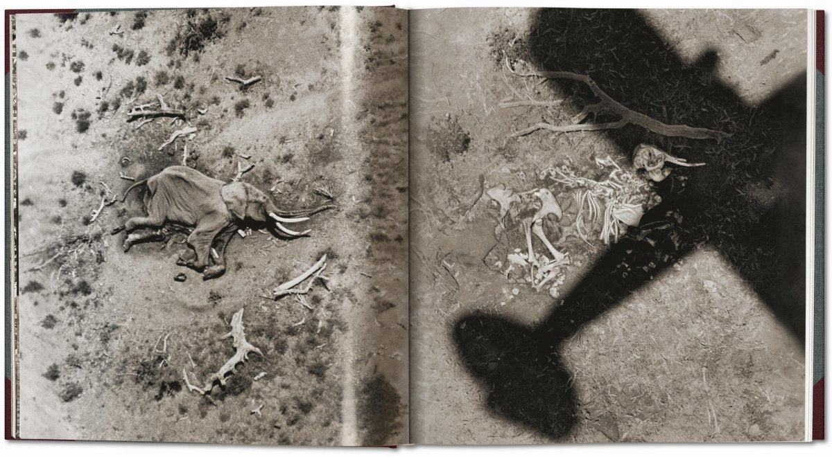 TASCHEN Peter Beard. The End of the Game. Revisited 2020 Edition (English) - lily & onyx