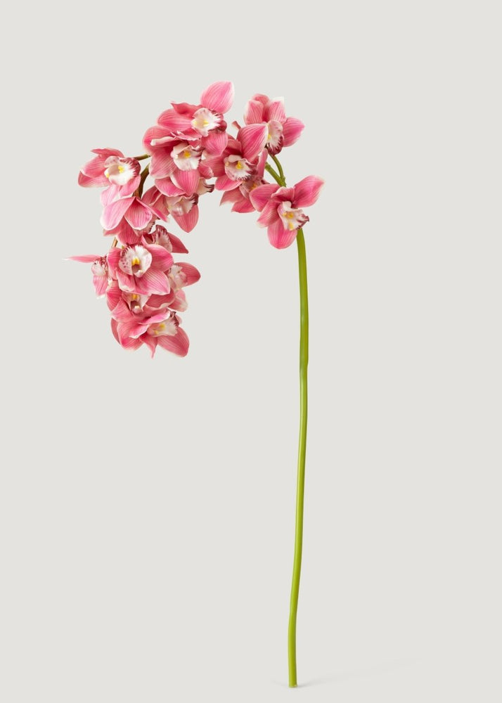 Afloral Pink Large Natural Touch Cymbidium Orchid - 45" - lily & onyx