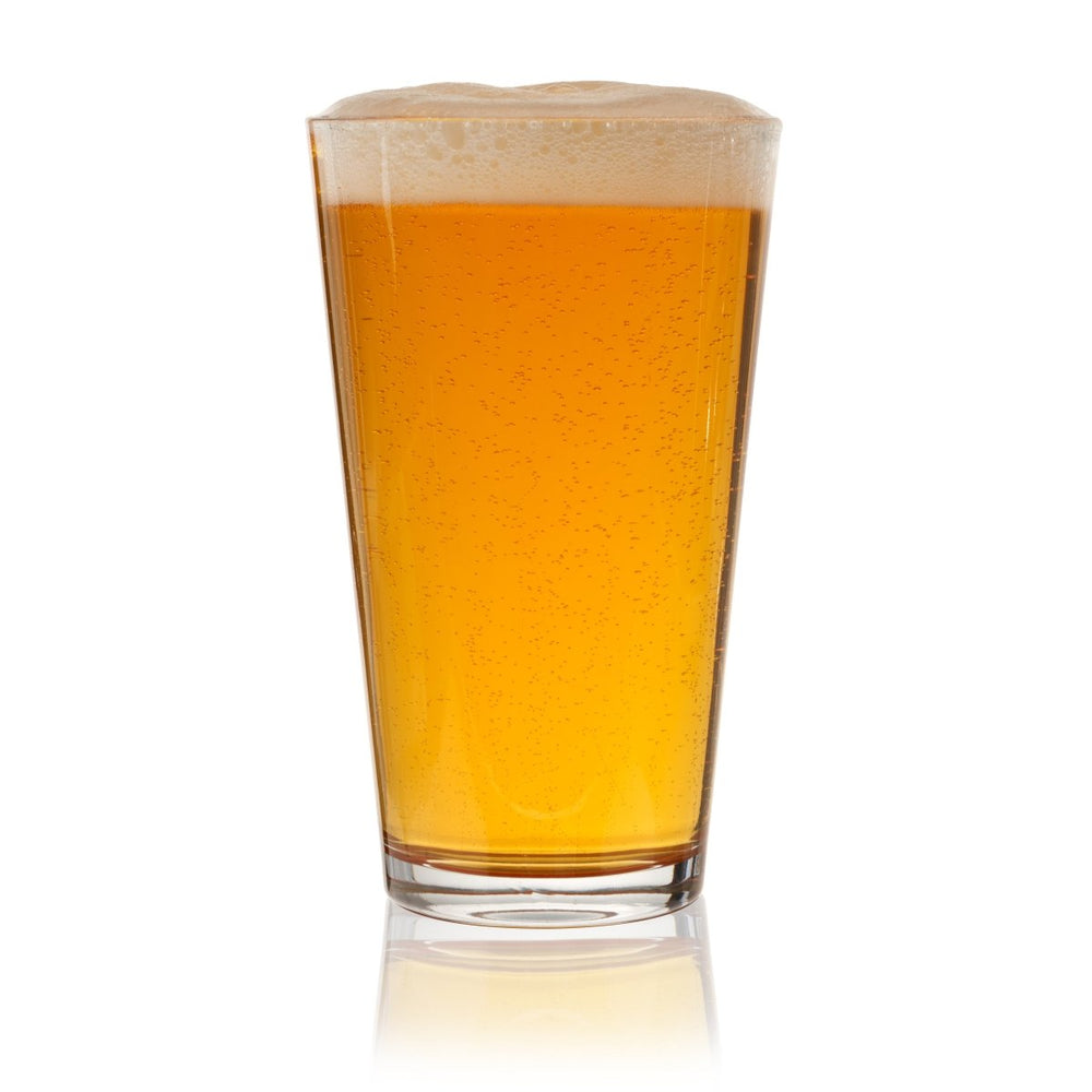 
                      
                        True Pint Beer Glasses, Set of 6 - lily & onyx
                      
                    