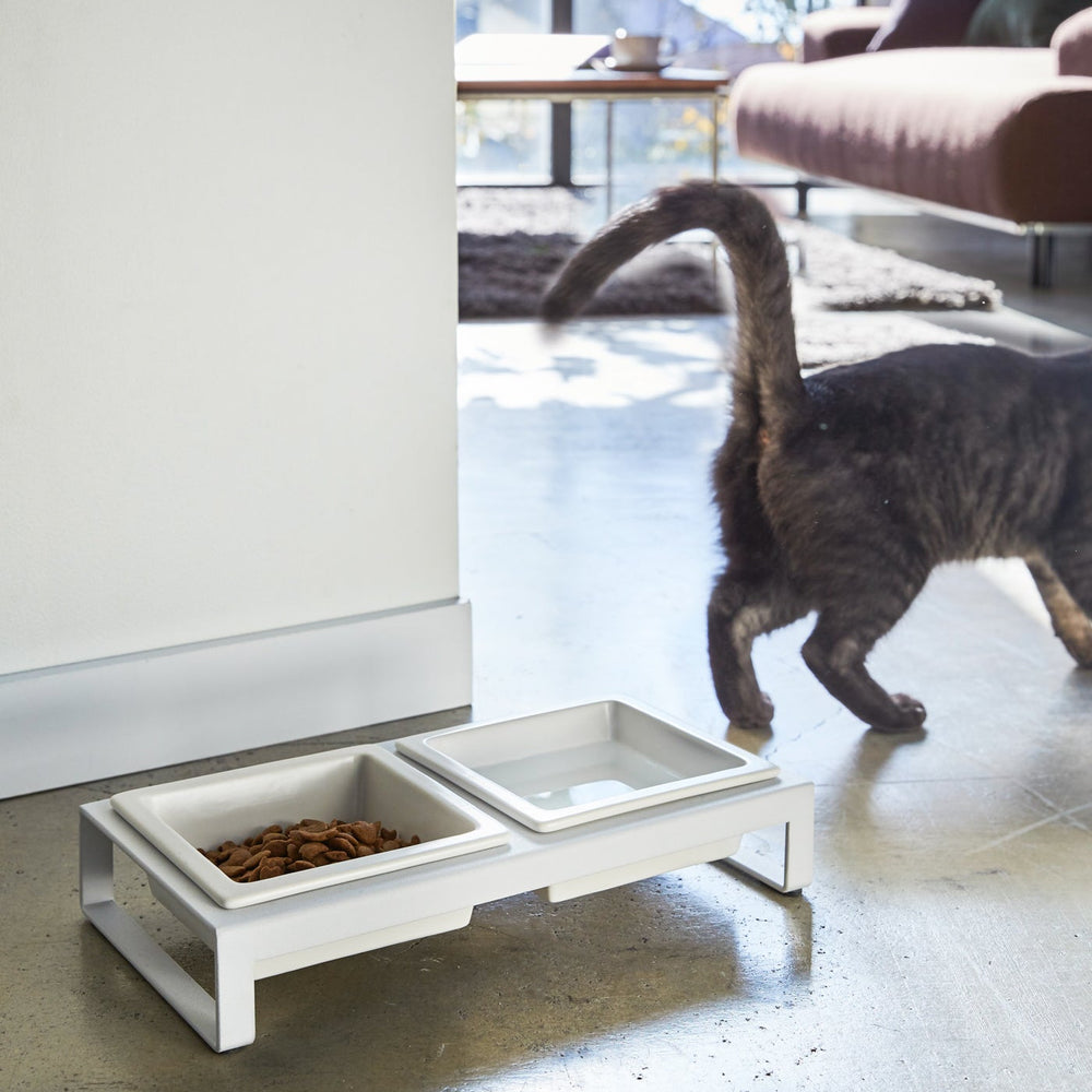 
                      
                        Pet Food Bowl
                      
                    