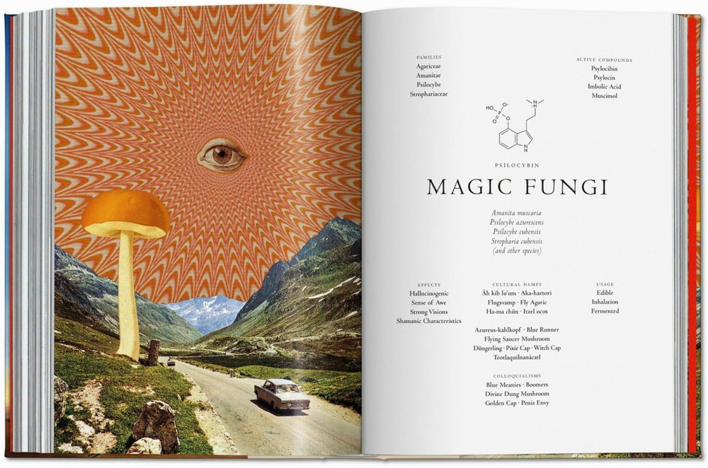 
                      
                        TASCHEN Plant Magick. The Library of Esoterica (English)
                      
                    