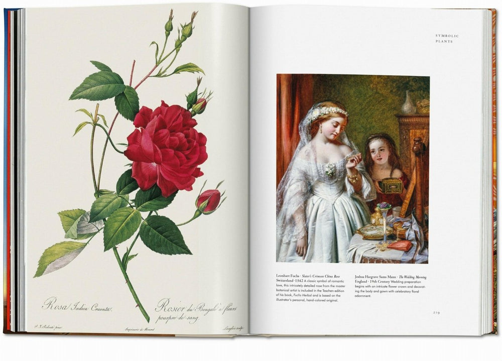 
                      
                        TASCHEN Plant Magick. The Library of Esoterica (English)
                      
                    
