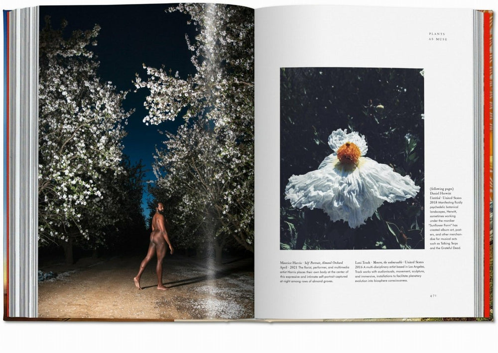 
                      
                        TASCHEN Plant Magick. The Library of Esoterica (English)
                      
                    
