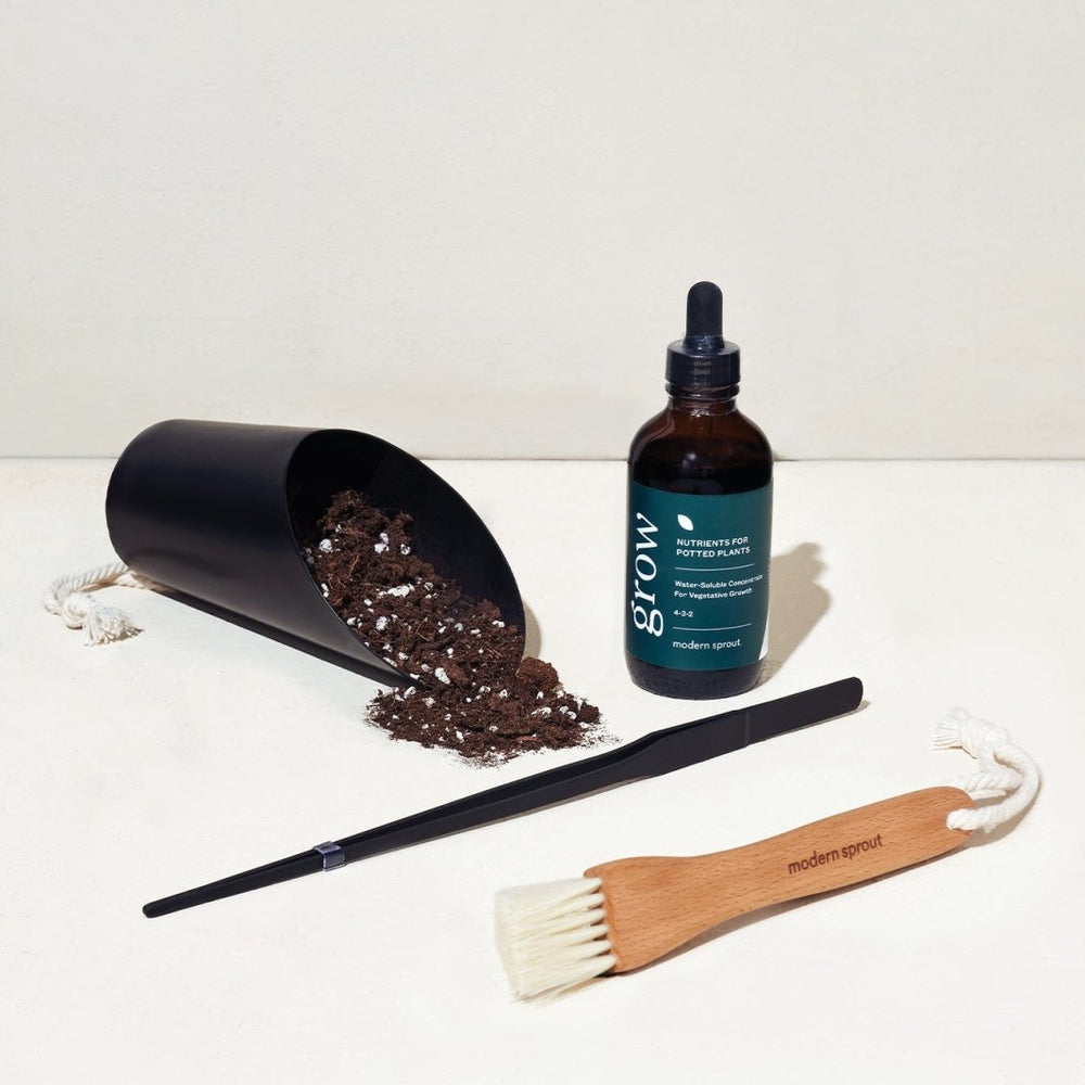 
                      
                        Modern Sprout Plant Parent - Botanical Gift Box Set - lily & onyx
                      
                    