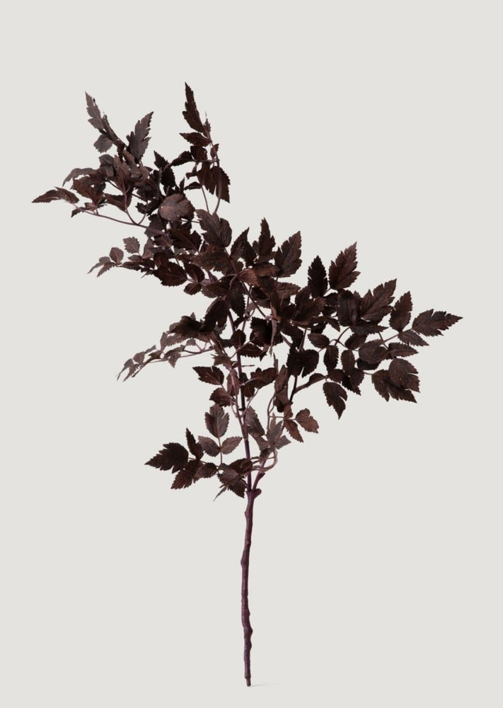 
                      
                        Afloral Plum Artificial Cimicifuga Plant Leaf Spray - 31" - lily & onyx
                      
                    