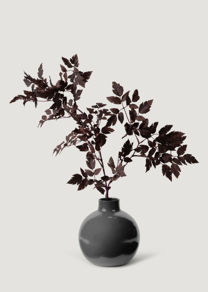 
                      
                        Afloral Plum Artificial Cimicifuga Plant Leaf Spray - 31" - lily & onyx
                      
                    