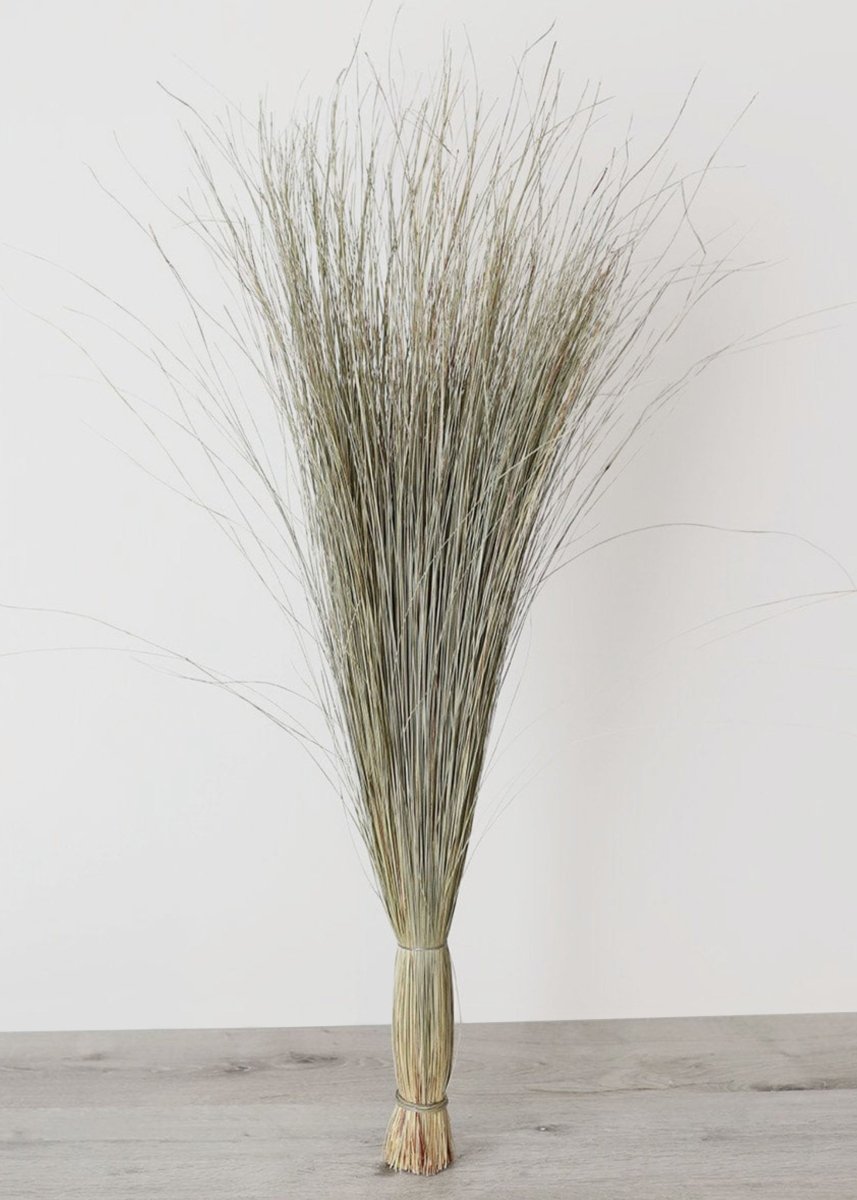 Afloral Preserved Coastal Dune Grass, 36" - lily & onyx