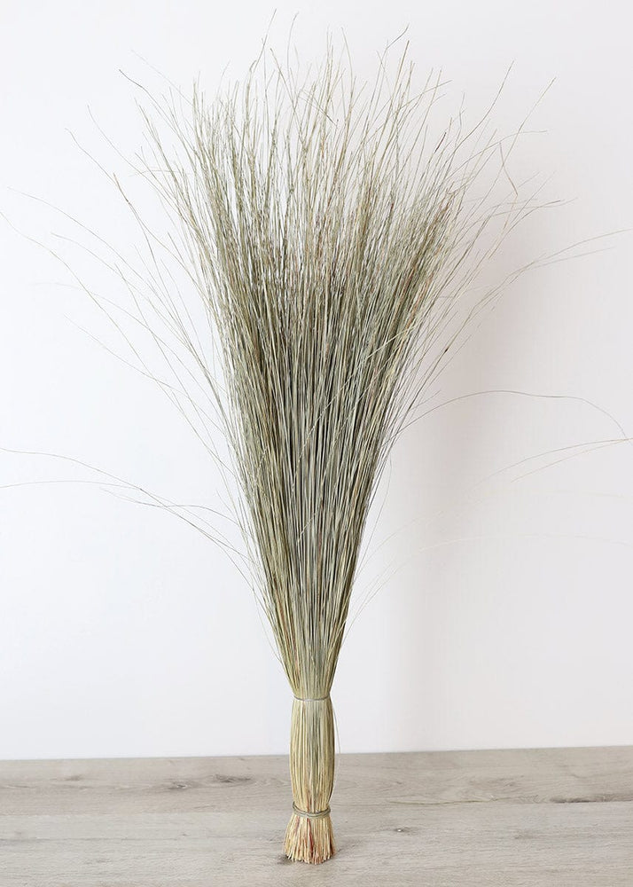 
                      
                        Afloral Preserved Coastal Dune Grass, 36" - lily & onyx
                      
                    