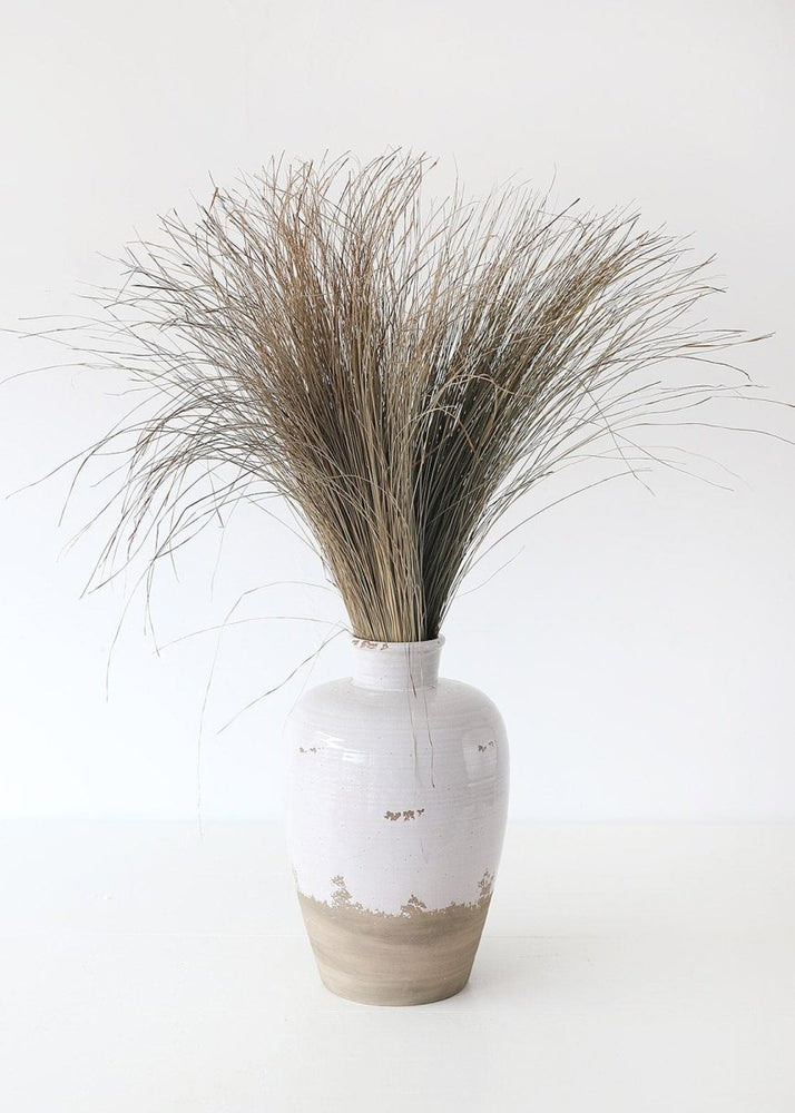 
                      
                        Afloral Preserved Coastal Dune Grass, 36" - lily & onyx
                      
                    