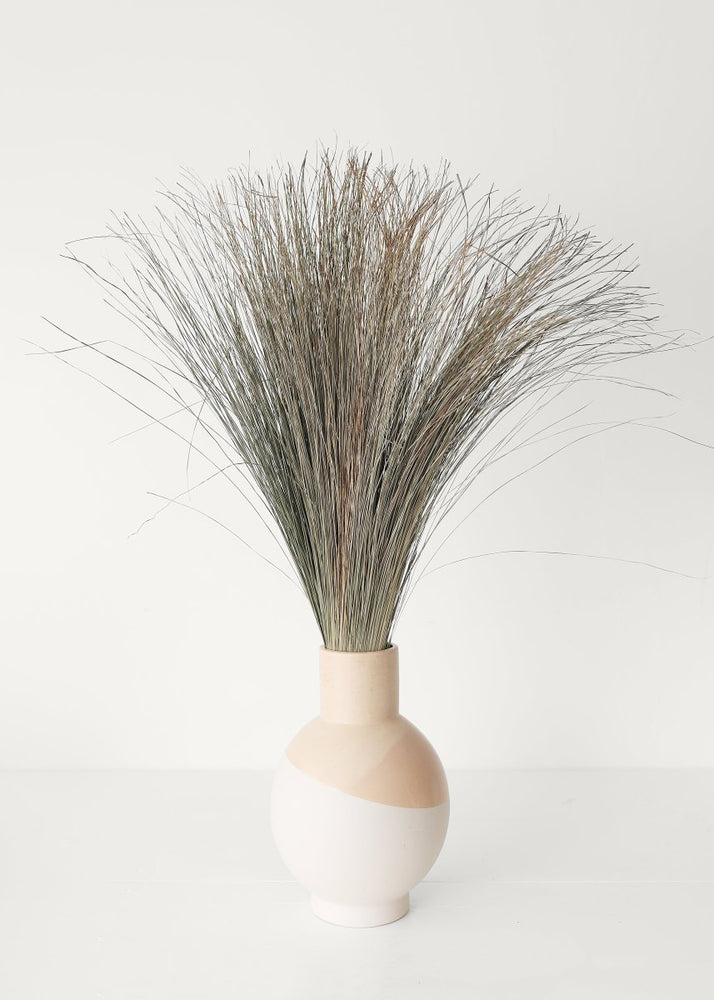 
                      
                        Afloral Preserved Coastal Dune Grass, 36" - lily & onyx
                      
                    