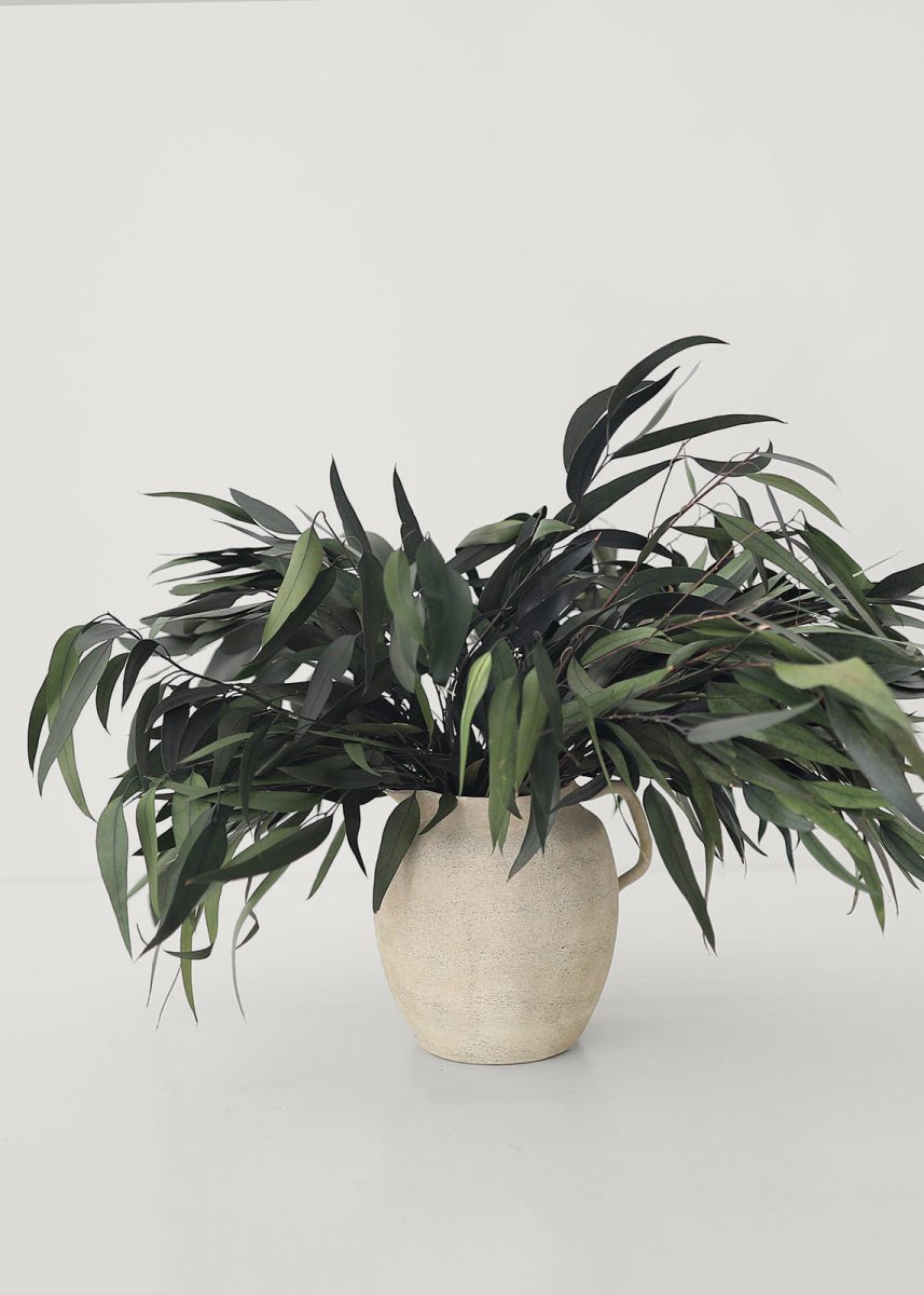 Afloral Preserved Weeping Willow Eucalyptus, 16 - 22" - lily & onyx