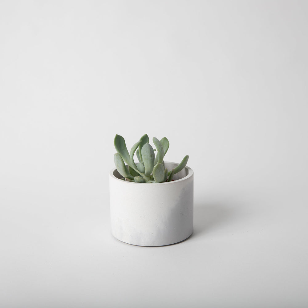 
                      
                        Catch-All Concrete Vessel, 4" - Tall
                      
                    