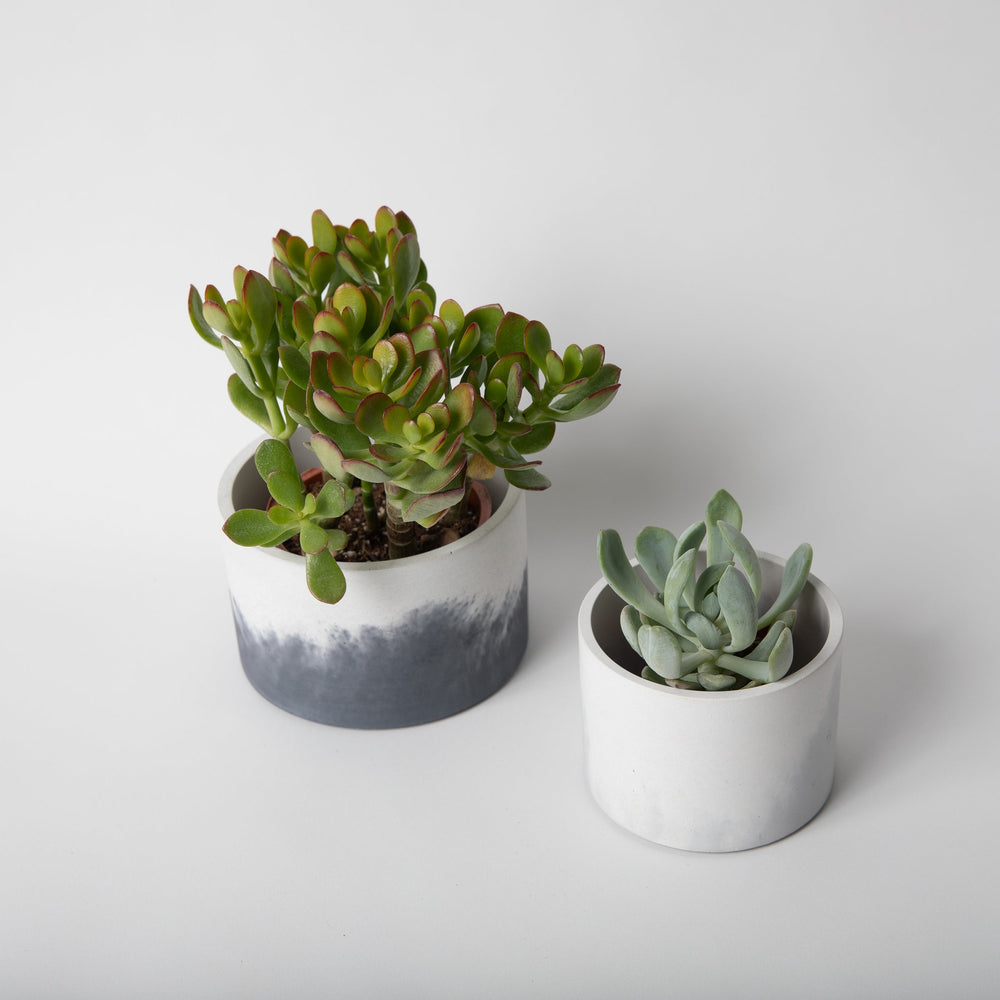 
                      
                        Catch-All Concrete Vessel, 4" - Tall
                      
                    