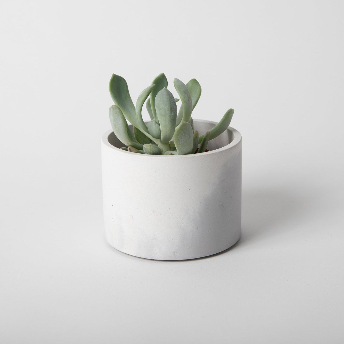 Pretti.Cool 4" Catchall Trinket Dish - Tall | Grey & White