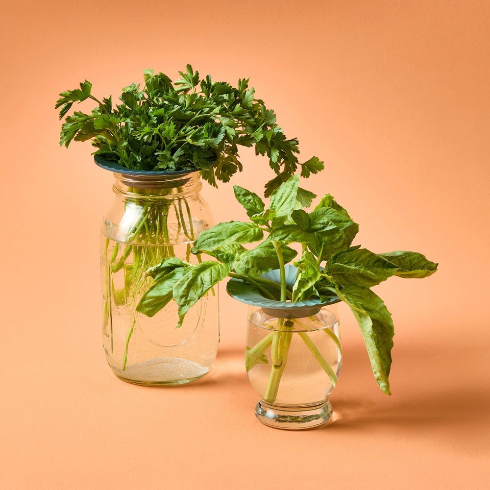 
                      
                        Modern Sprout Produce Keepers, Set of 2 - lily & onyx
                      
                    