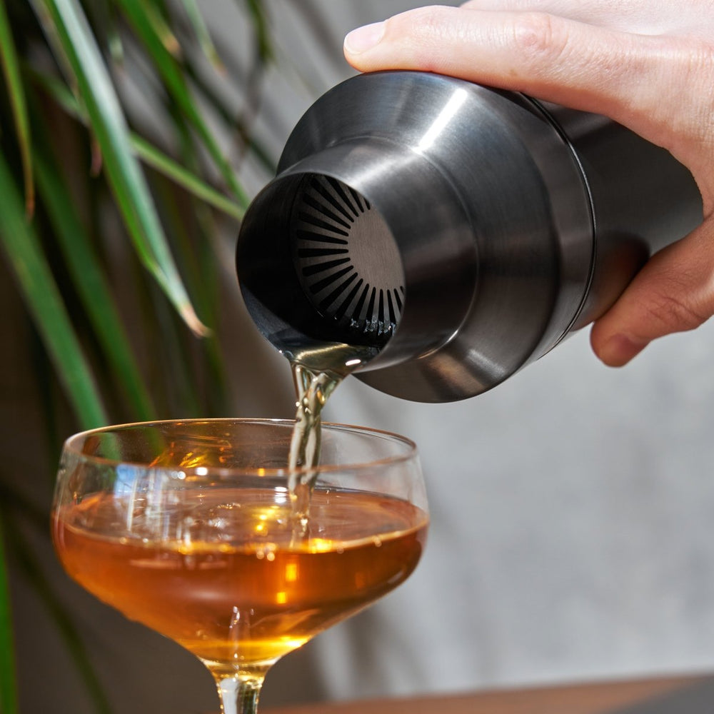 
                      
                        Viski Professional Titanium Cocktail Shaker
                      
                    