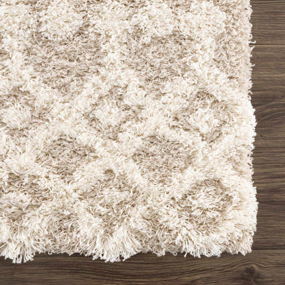 
                      
                        Hauteloom Prompton Cream Plush Area Rug - lily & onyx
                      
                    