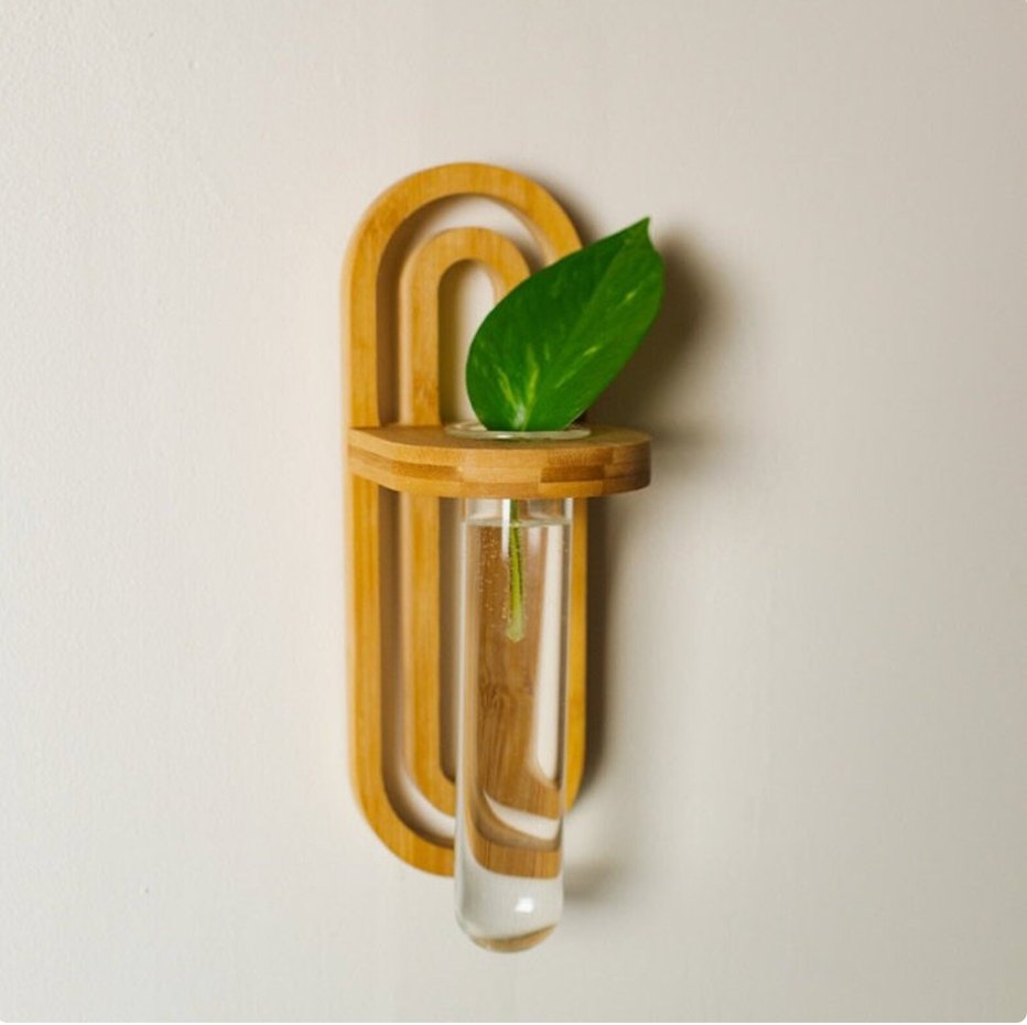 Bamboo Propagation Wall Hanger