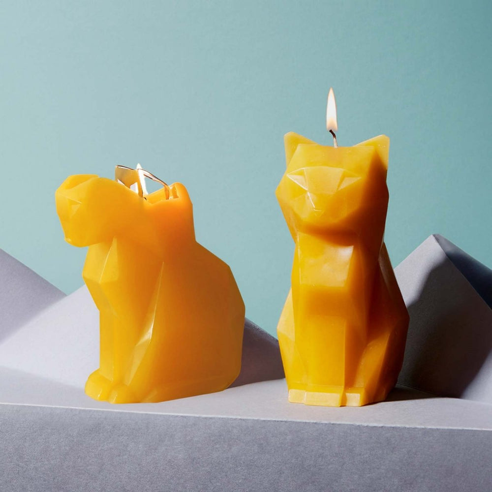 
                      
                        54Celsius PyroPet Kisa Cat Candle - Mustard Yellow - lily & onyx
                      
                    