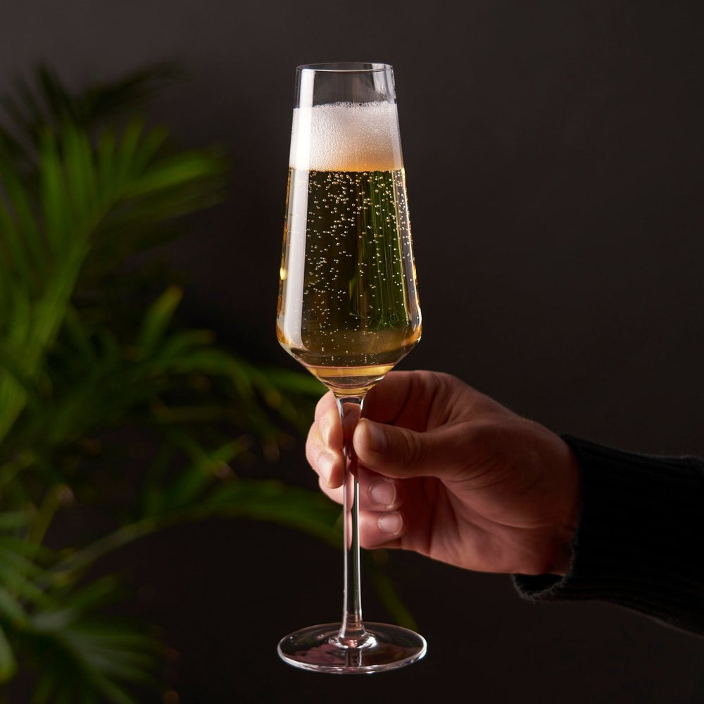 
                      
                        Viski Raye Angled Crystal Champagne Flutes, Set of 2 - lily & onyx
                      
                    
