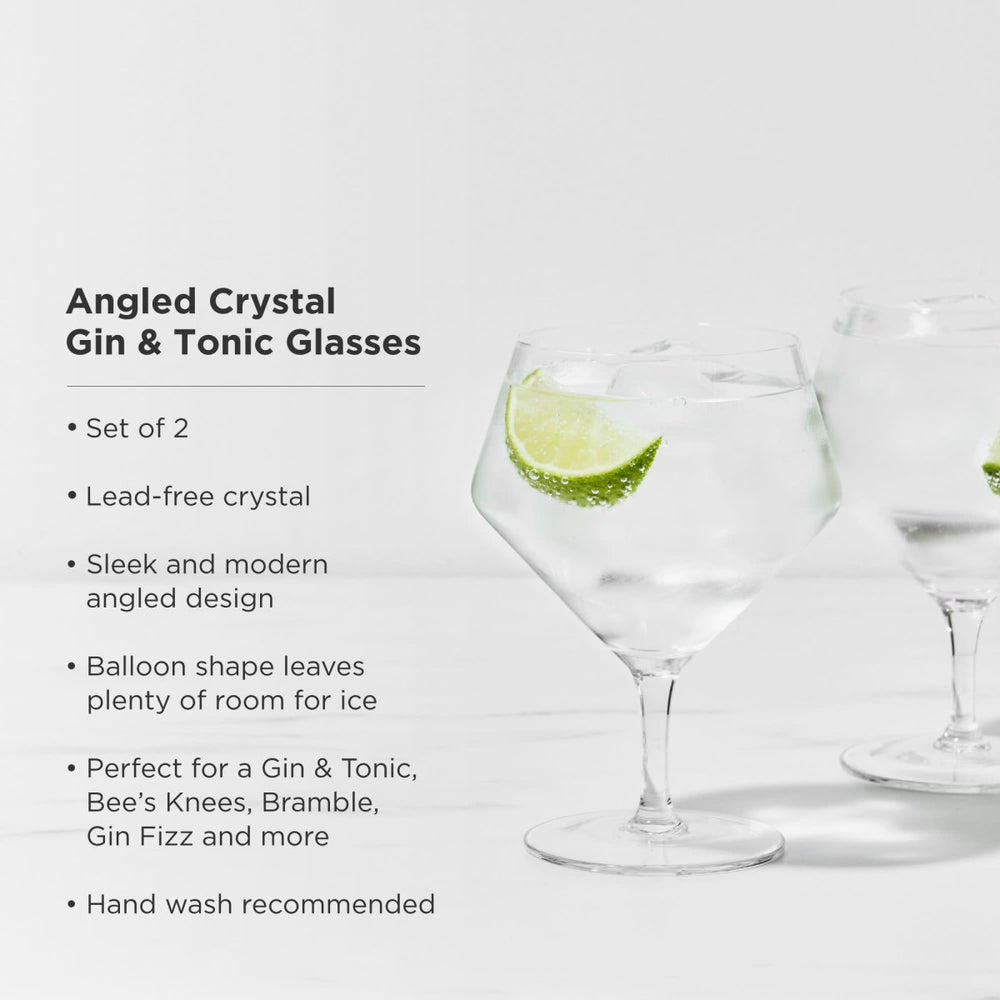 
                      
                        Viski Raye Angled Crystal Gin & Tonic Glasses, Set of 2 - lily & onyx
                      
                    