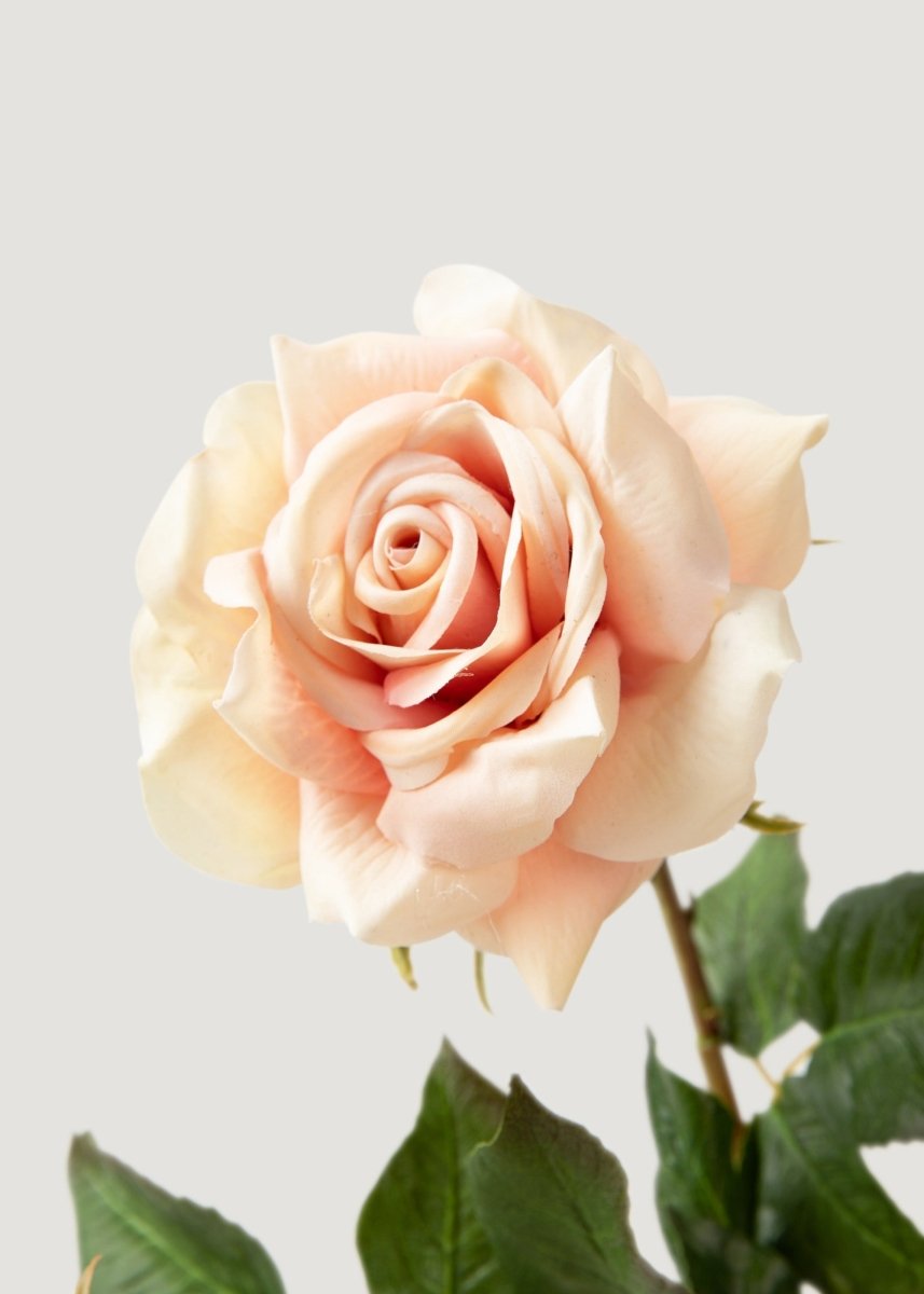 Afloral Real Touch Artificial Duchess Rose in Peach Dust - 20" - lily & onyx