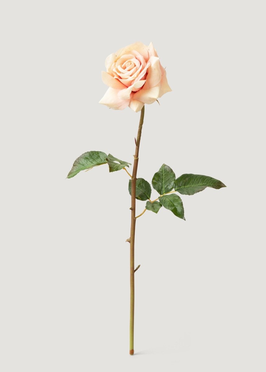 Afloral Real Touch Artificial Duchess Rose in Peach Dust - 20" - lily & onyx