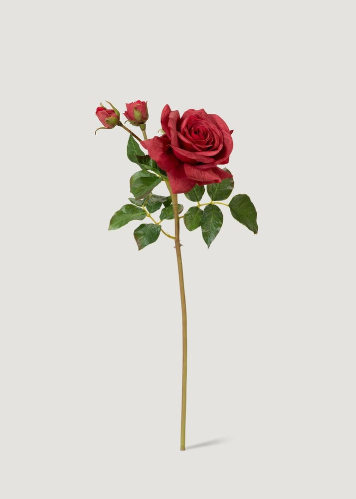 Afloral Real Touch English Rose Artificial Flower in Red - 22" - lily & onyx