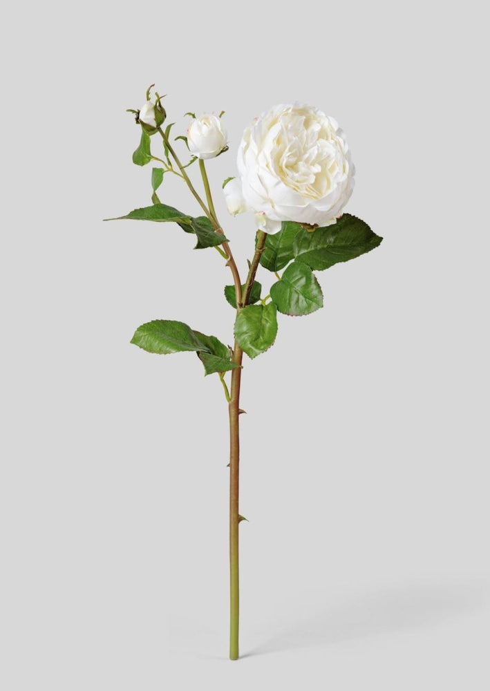 
                      
                        Afloral Real Touch Fake Flower English Rose with Bud - 21" - lily & onyx
                      
                    