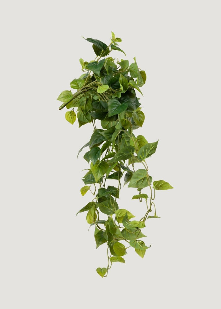 
                      
                        Afloral Real Touch Fake Philodendron Hanging Plant - 36" - lily & onyx
                      
                    