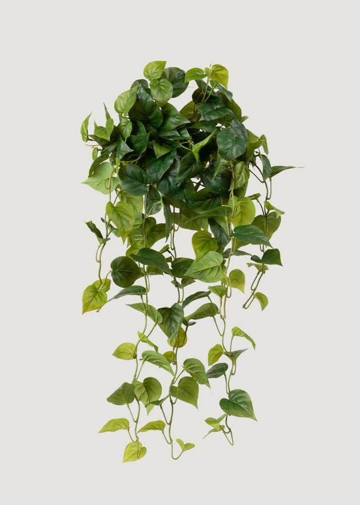 Afloral Real Touch Fake Philodendron Hanging Plant - 36" - lily & onyx