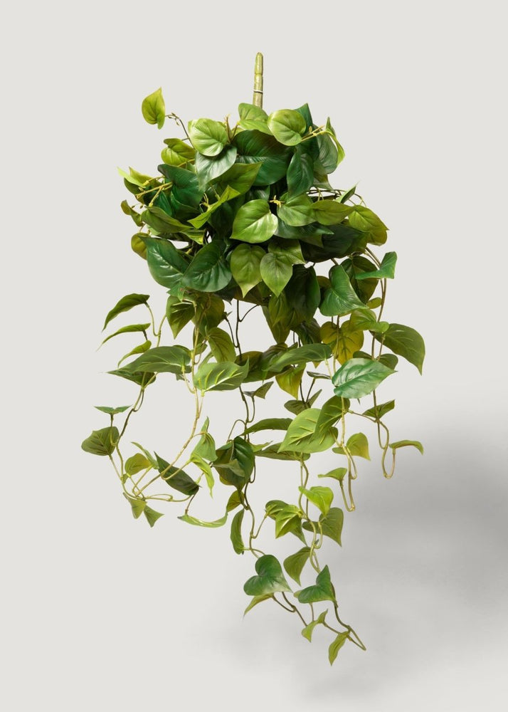 
                      
                        Afloral Real Touch Fake Philodendron Hanging Plant - 36" - lily & onyx
                      
                    